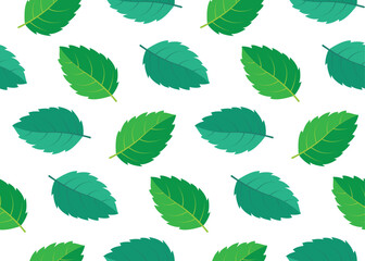 Green mint leaf pattern on white backdrop © Amir