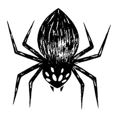 Halloween Spider Illustration With Grunge Texture