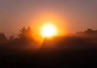Sonnenaufgang an einem nebeligen Herbstmorgen