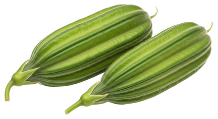 Isolated Green angled luffa fruit fresh from harvest, healthy food ingredient preparation