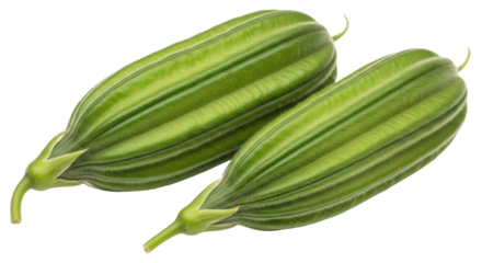 Isolated Green angled luffa fruit fresh from harvest, healthy food ingredient preparation