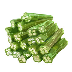 Vector illustration set, eps format, My Watercolor illustration, sliced Chinese okra painting isolated on a white background, EPS painting design
