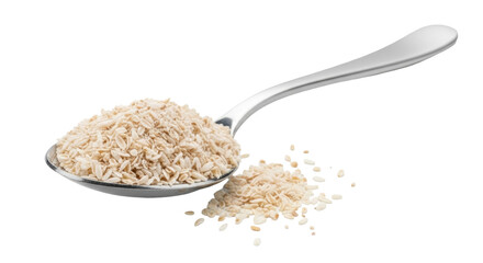 Isolated spoon of dried garlic flakes, seasoning topping condiment flavor ingredient