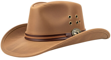 Isolated brown cowboy hat, leather band, brim, with small decorative air holes, and a metal emblem