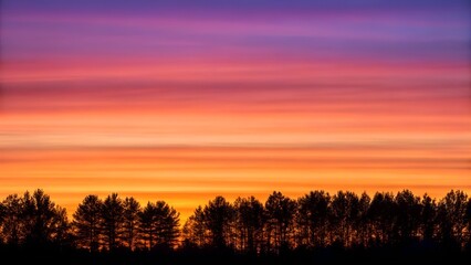 Fototapeta premium Sunset gradient sky with silhouette tree line trees