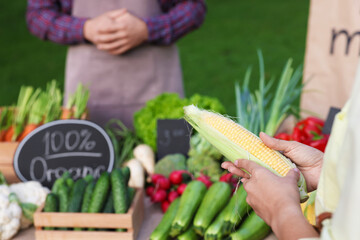 Woman choosing fresh vegetables from stall at farmer's market, closeup