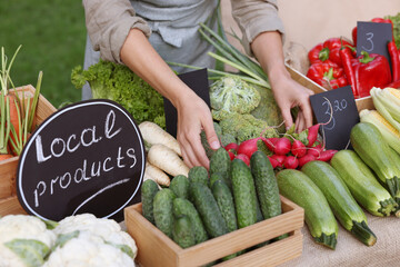 Farmer near stall with different fresh vegetables at market, closeup