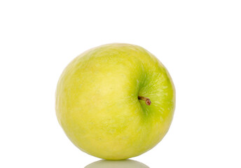 Green juicy apples isolated on white background, close-up.
