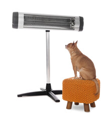 Cute little dog on pouf near electric heater against white background