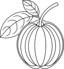 Simple line drawing of ripe ambarella fruit with leaves and stem tropical fruit sketch for design and education
