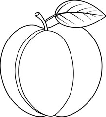 Simple line drawing of ripe apricot with leaf minimal fruit sketch perfect for coloring pages or educational art