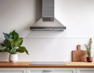 silver cooker hood in minimal white kitchen interior with plant on wooden countertop real photo