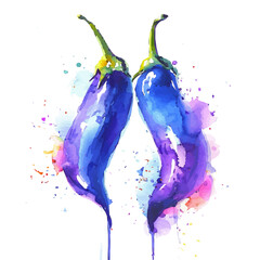 Vector illustration set, eps format, My Watercolor illustration, sliced Thai eggplant painting isolated on a white background, EPS painting design