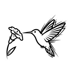 Fototapeta premium Hummingbird flying to flower line art sketch minimalist black and white illustration, elegant wings, long beak, simple nature artwork isolated on white background design.