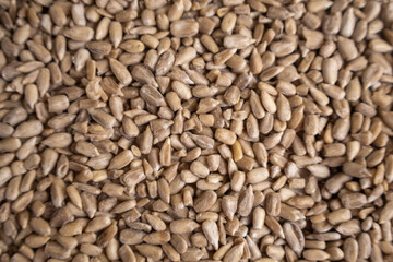Shelled sunflower seeds on a flat surface. The photo is suitable for textures.