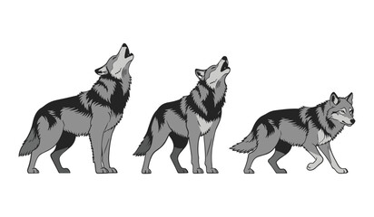 Three grey wolves in different poses on a white background wolf animal © AIGen Studio