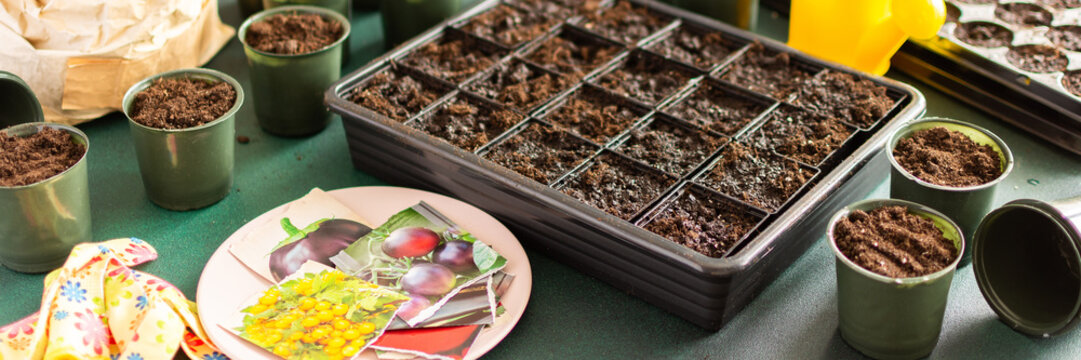 Starting tomato seeds indoors involves filling pots with soil, arranging containers, and organizing tools for a successful planting experience at home, banner