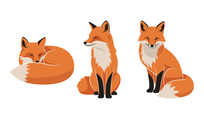Three stylized orange foxes in different poses on a white background animal wildlife
