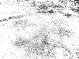 Black White Grungy Dry Hay Straw Ground Texture