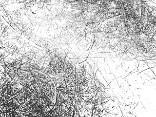 Abstract Grungy Vector Monochrome Grass Hay Texture Overlay