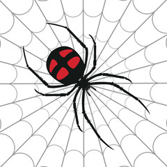 Black spider icon logo. Black widow spider. Company and business logo templates