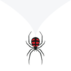 Black spider icon logo. Black widow spider. Company and business logo templates