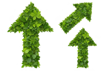 Three distinct green leaf arrows showing upward growth and directional progress transparent background