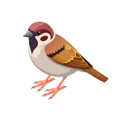 Sparrow Isometric Icon