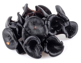 Close Up View of Black Mushrooms.