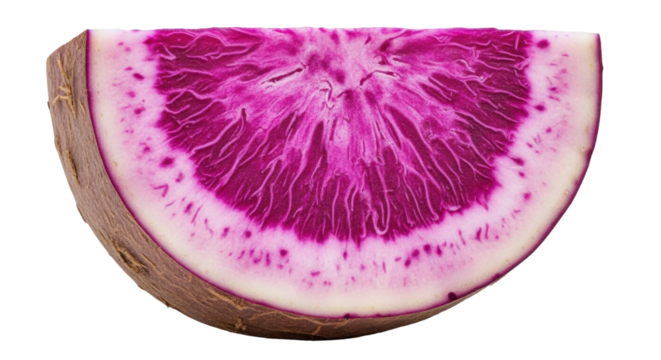 Isolated cross section of a purple daikon radish against a neutral backdrop close-up view