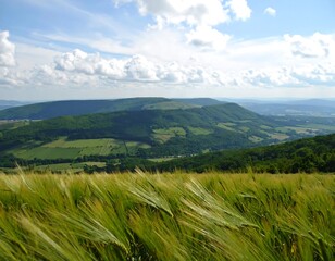 Panoramic view of rolling hills