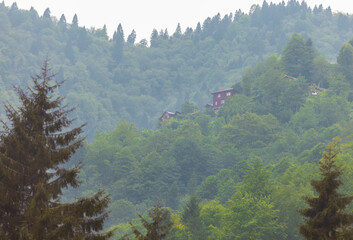 Forested hills with scattered village houses
