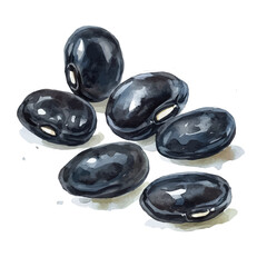 hand-drawn paint, Simple Illustration, A beautiful painting of black beans , EPS format, isolated on a white background, watercolor style, minimal yet artistic elements for creative designs