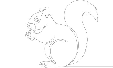 Minimalist Outline Drawing of a Squirrel Holding an Acorn Illustration