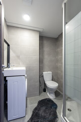Modern Bathroom Design with Shower, Vanity, and Toilet in Contemporary Style. 