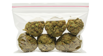 Isolated cannabis buds in plastic bag for retail sale, recreational or medicinal purpose