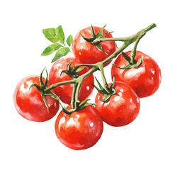 minimal yet artistic elements for creative designs. hand-drawn paint, Simple Illustration, A beautiful painting of cherry tomato set, EPS format, isolated on a white background, watercolor style	