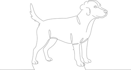 Continuous Line Drawing of Detailed Domestic Canine Animal Illustration