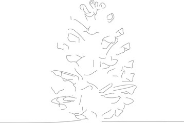 Minimalist Line Art Detail Pinecone Nature Drawing Isolated Illustration