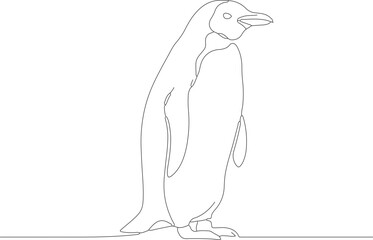 Minimalist Single Line Art Penguin Bird Illustration Graphic Design