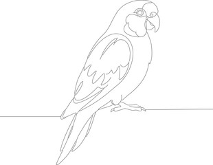 Minimalist Line Art Parrot Perched on Branch Bird Illustration