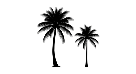 Black Palm Tree Silhouette Duo isolated on transparent background