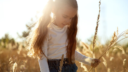 Child girl walking alone in field at sunset