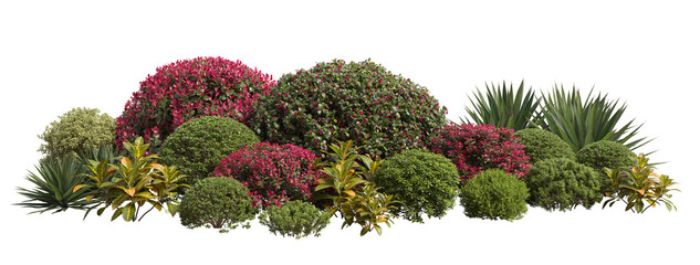 garden shrubs and bushes isolated on transparent background
