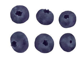 ブルーベリー　フラット