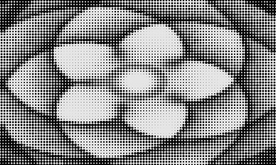 Fototapeta premium Set of black halftone dots backgrounds. vector modern dots halftone arts. modern