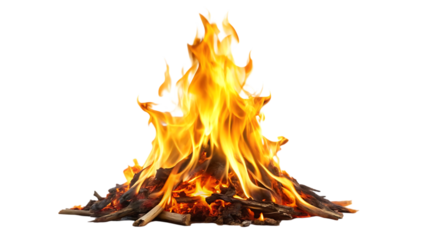 Realistic campfire with burning wood and bright flames isolated on transparent background