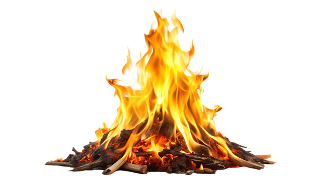 Realistic campfire with burning wood and bright flames isolated on transparent background