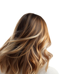 Obraz premium Balayage hair colour isolated on White background