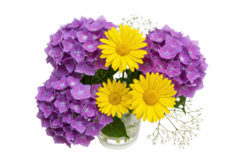 Isolated Bouquet of hydrangea and yellow daisies in glass vase, floral arrangement
